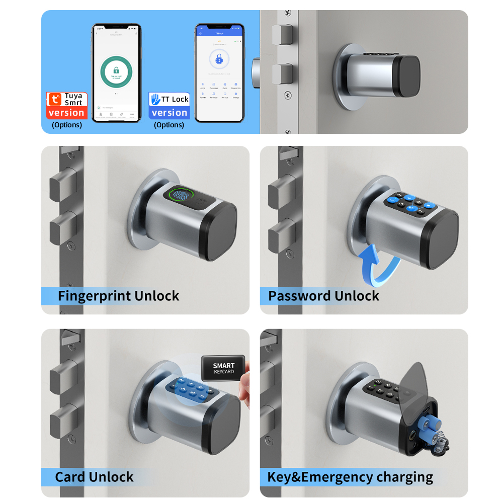 RAYKUBE V1 Tuya BLE TT serrure - Home Automation System Diy avis et prix