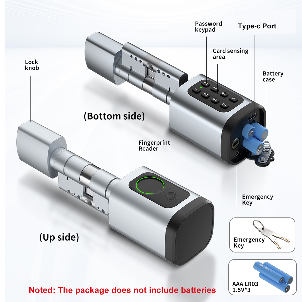 RAYKUBE V1 Tuya BLE TT serrure - Home Automation System Diy avis et prix